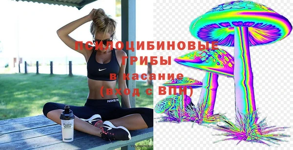 прущая мука Алзамай