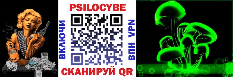 где купить наркоту  Аргун  Галлюциногенные грибы мухоморы 